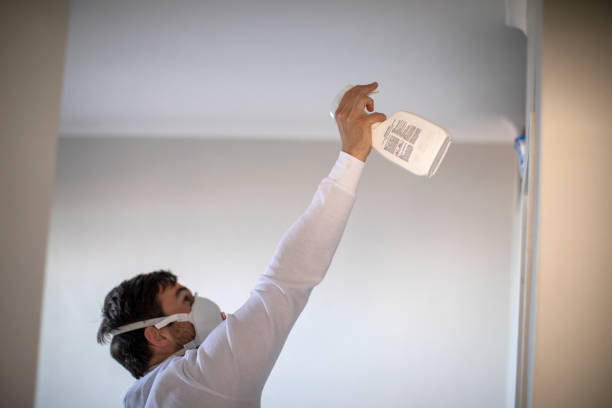 Best Crawl Space Mold Removal  in Iowa Park, TX