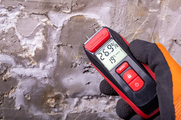 Best Emergency Mold Removal  in Iowa Park, TX