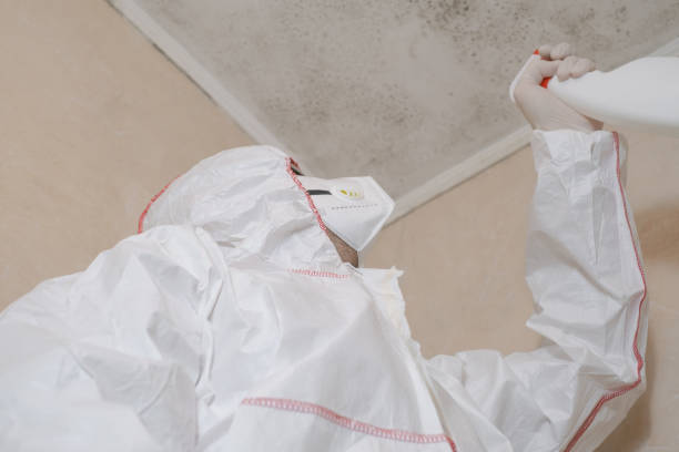 Best Crawl Space Mold Removal  in Iowa Park, TX